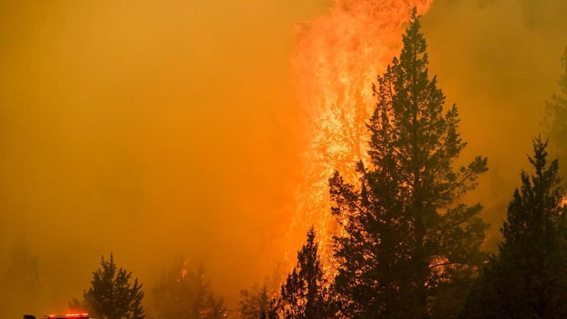'We are not out of danger,' mass fire evacuations in US
