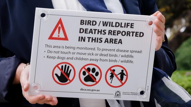 Perfect mix: stage set for 'maximum' bird flu damage