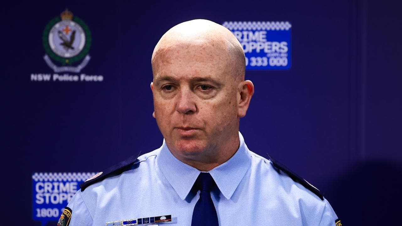 Neo-Nazi rally abhorrent but legally grey, top cop says