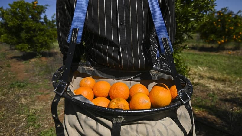 Survey supports a better deal for Pacific workers