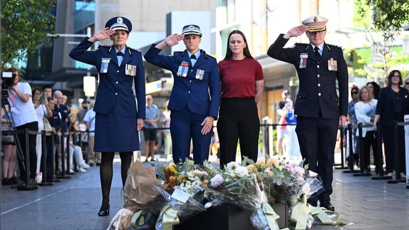 Mass stabbing attack sparks mental health policy revamp