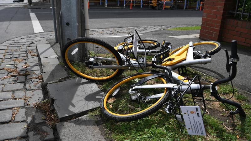 'Bike boy' bailed to rehab amid carjacking allegations