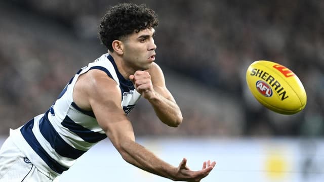 'Close to a miracle': Cats boss on Stengle's AFL career