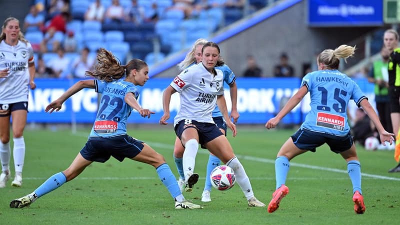 'Erodes trust': $10.8m ploy blows up A-League pay row