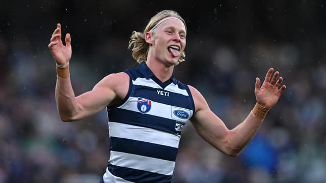 Cats shrug off concussion scandal with Bombers win