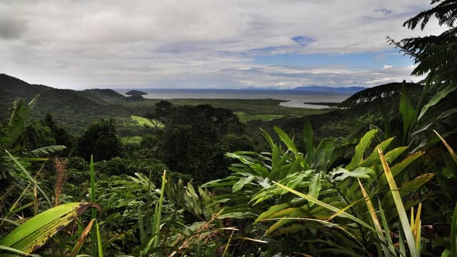 Widow reacts as zipline safety approach detailed