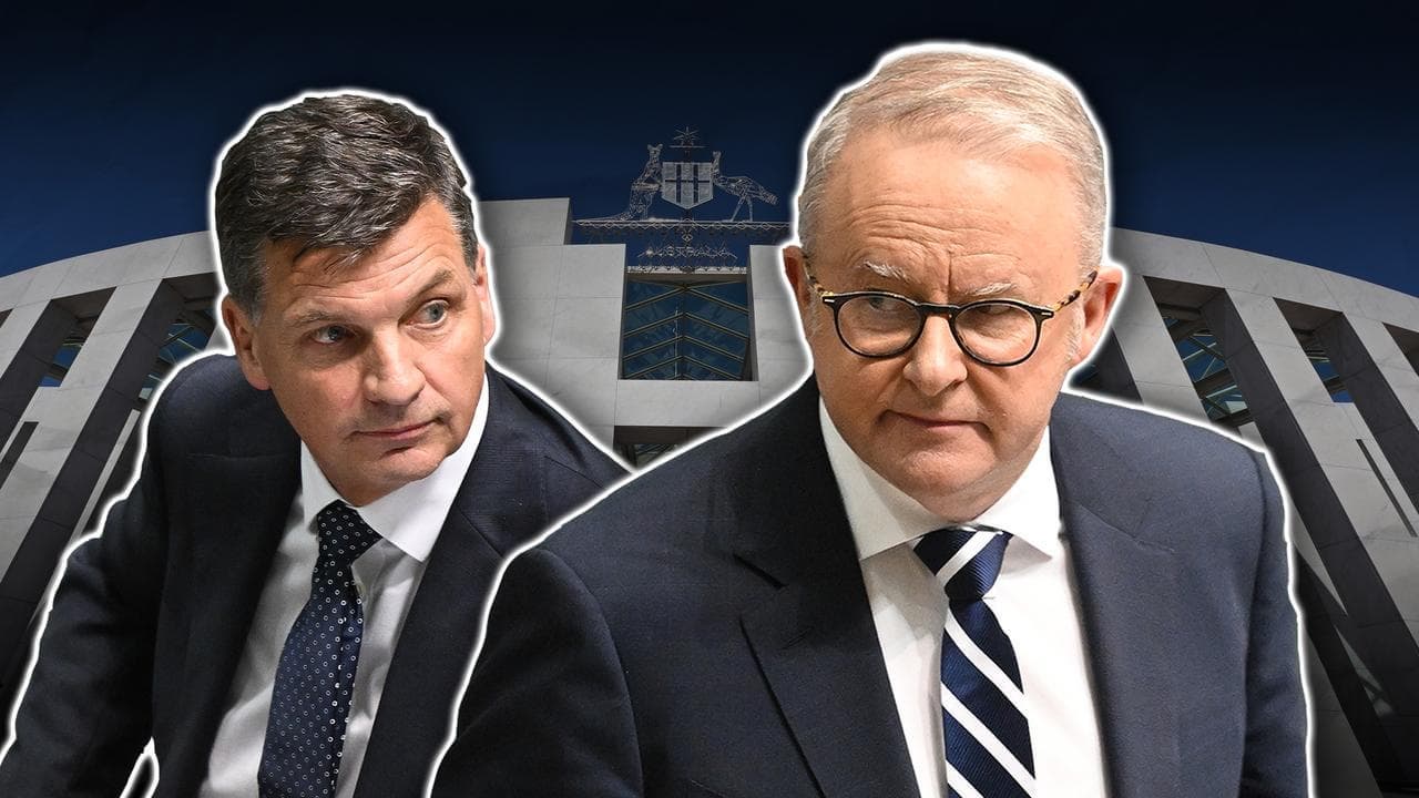 'Back to work': Labor to lock in gambling, NDIS changes