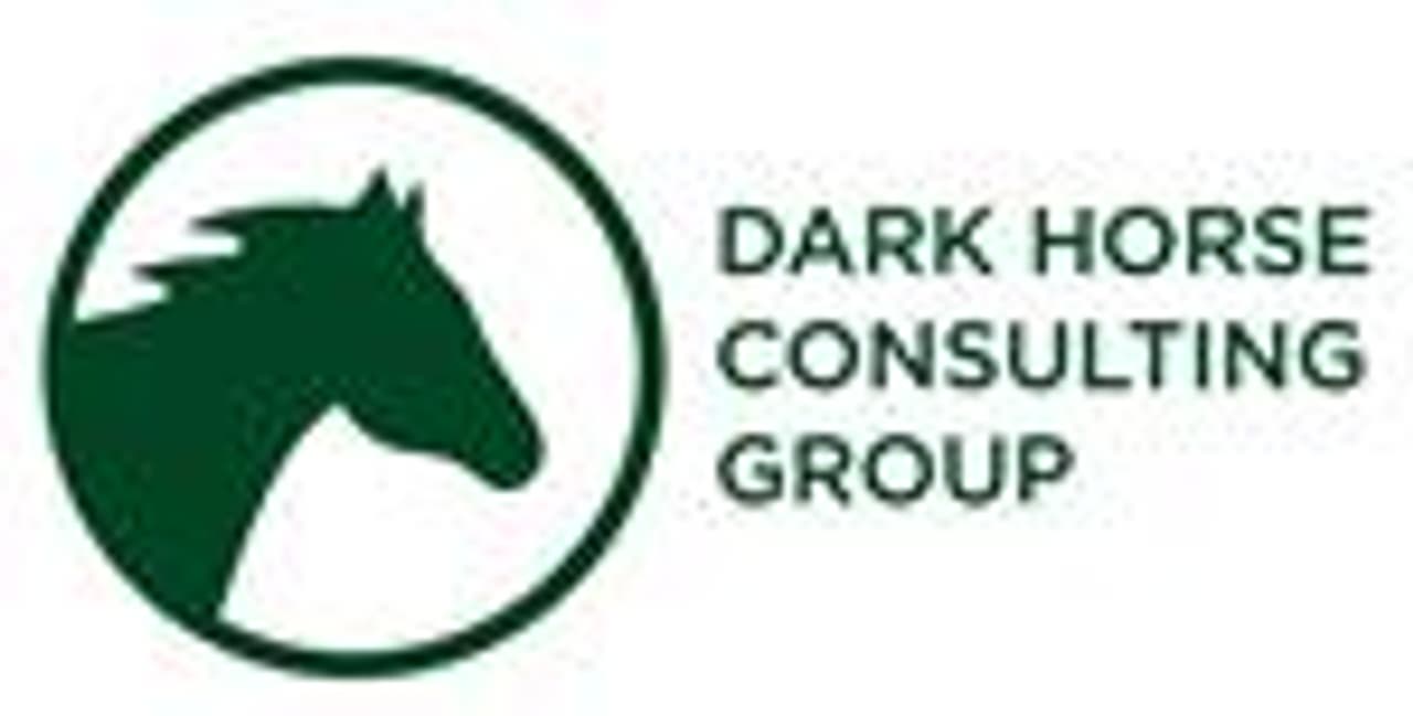 Dark Horse Consulting Group Expands into China, Appoints Kang Liu as Senior Director, Head of China