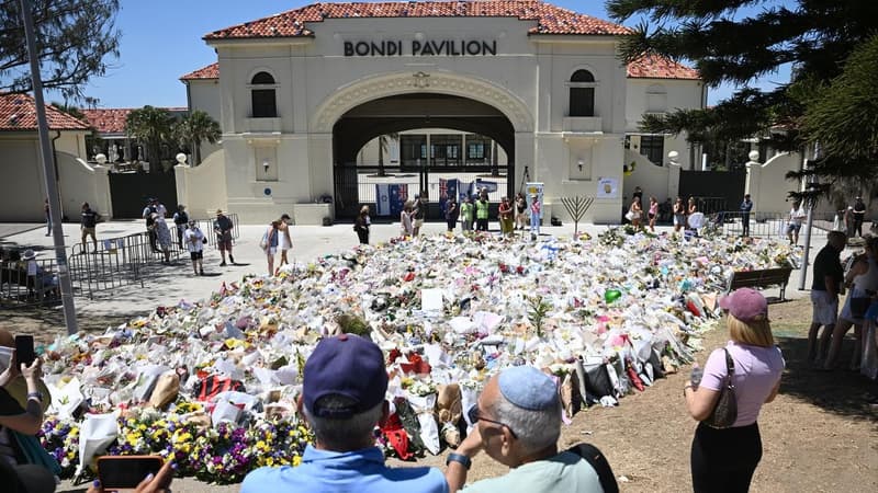 Hundreds of witnesses come forward in Bondi terror case