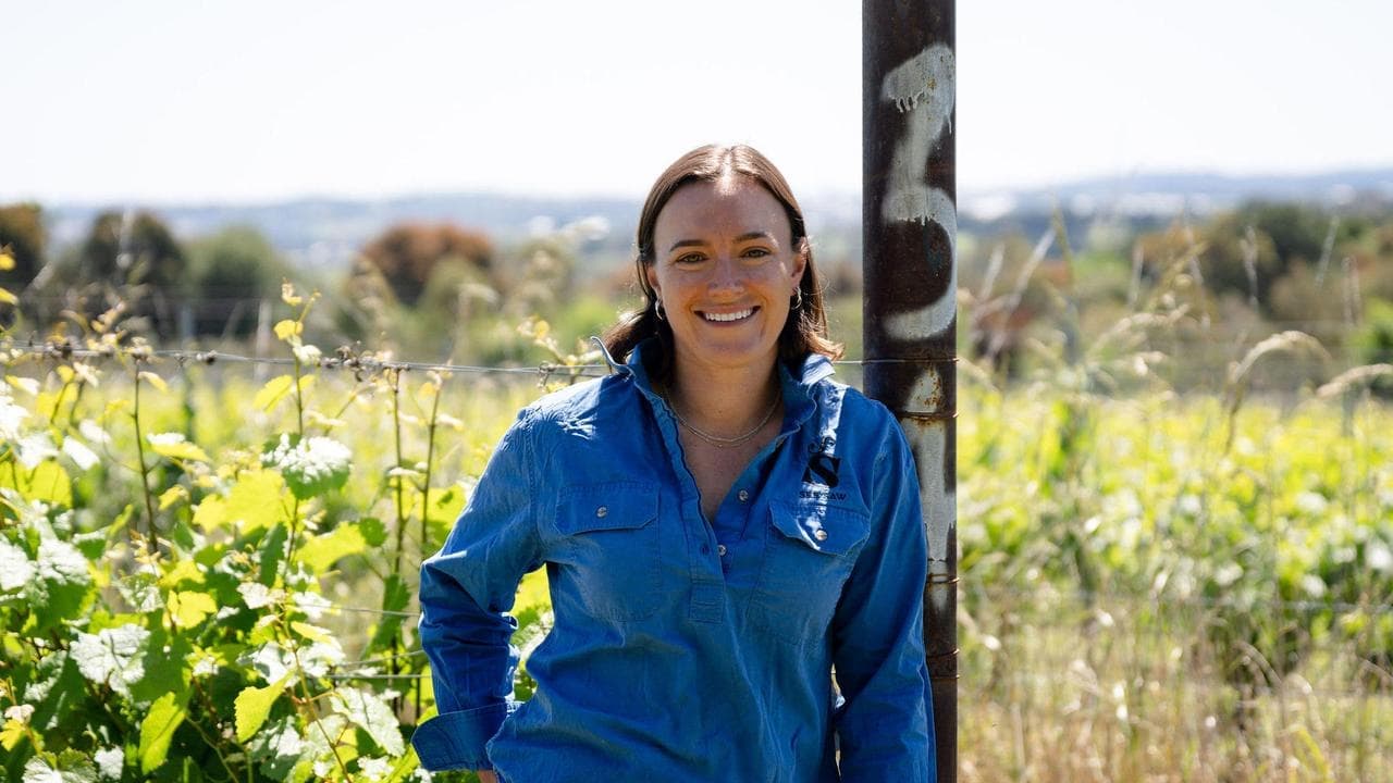 Grapes of math: how solar plus sheep equals good wine