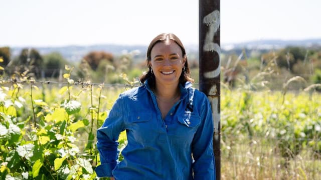 Grapes of math: how solar plus sheep equals good wine