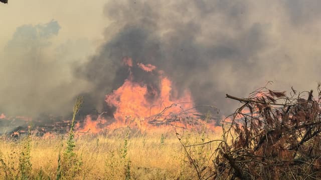 Scorched: rising natural disasters hit insurer's profit