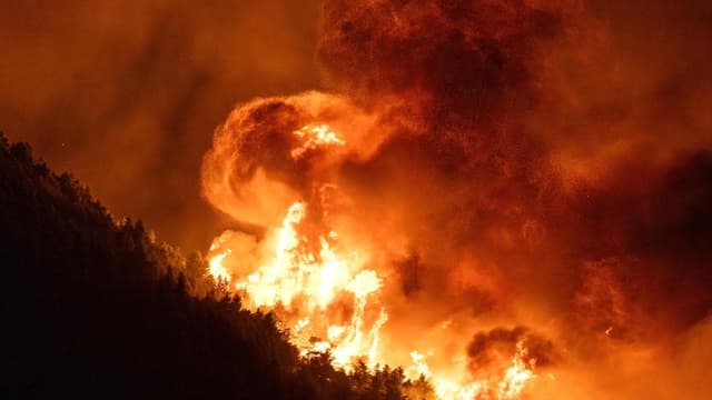 More evacuations as wildfires stretch across Europe