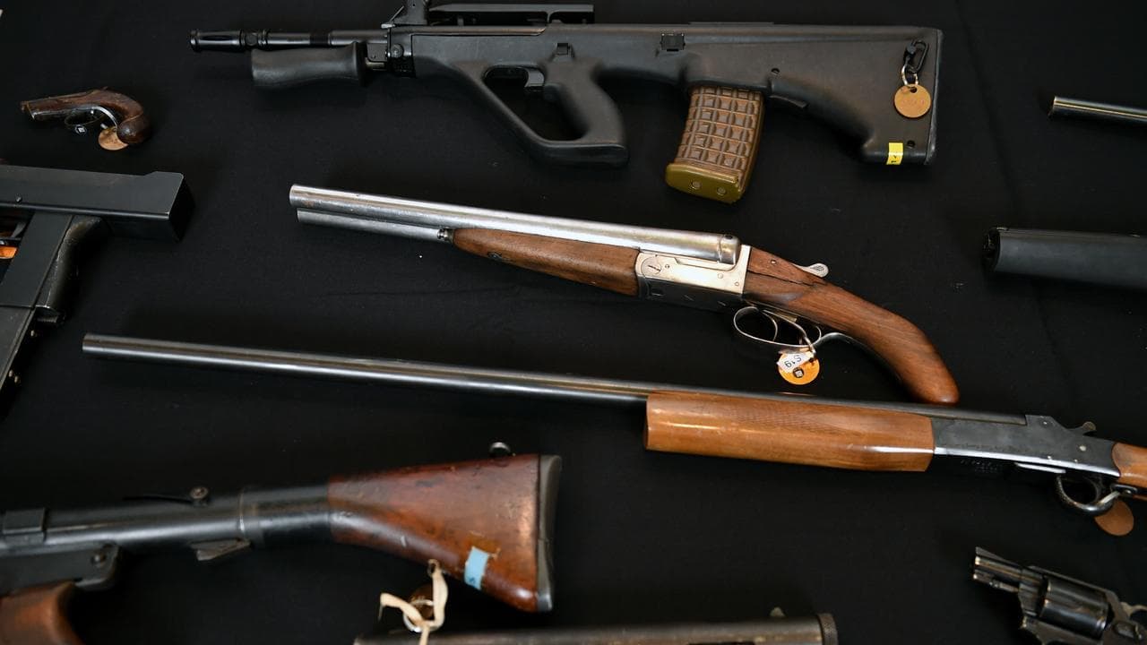 Beleaguered gun buyback costly, inaction costlier: PM