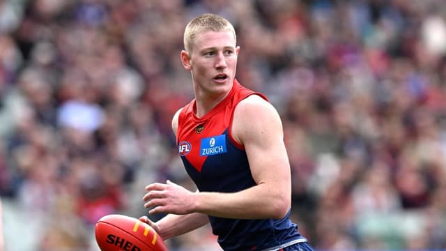 Demons forward banned ahead of AFL finals