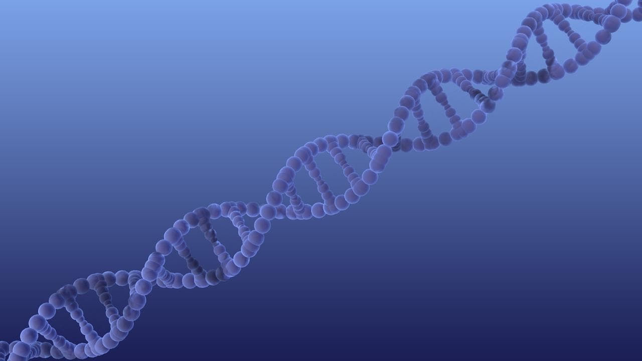 Teens accused of online ambush murder oppose DNA test