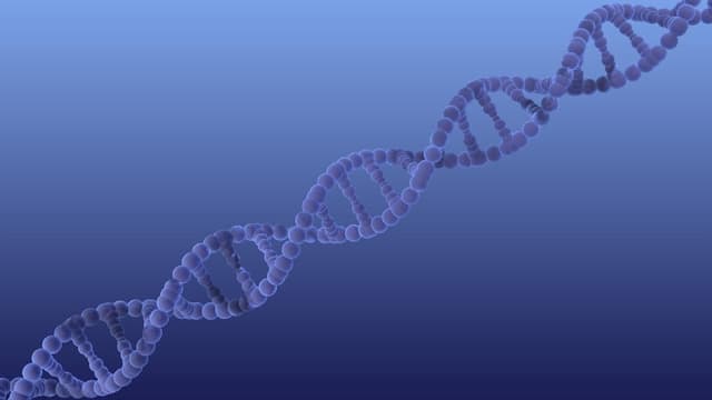 Teens accused of online ambush murder oppose DNA test