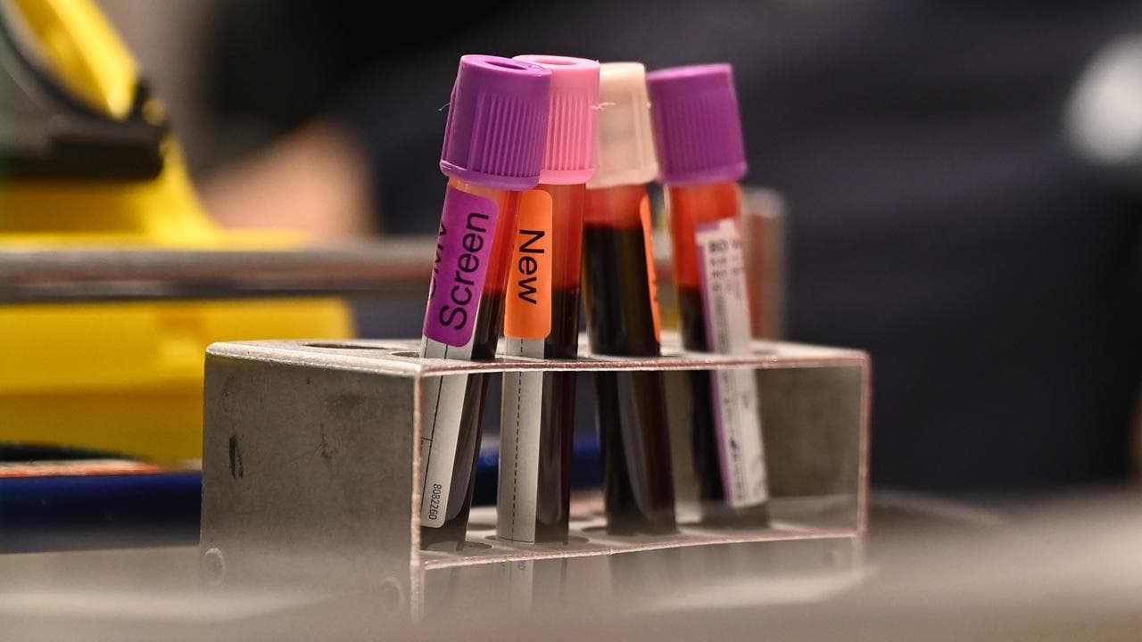 Blood plasma giant's share price revives on growth path