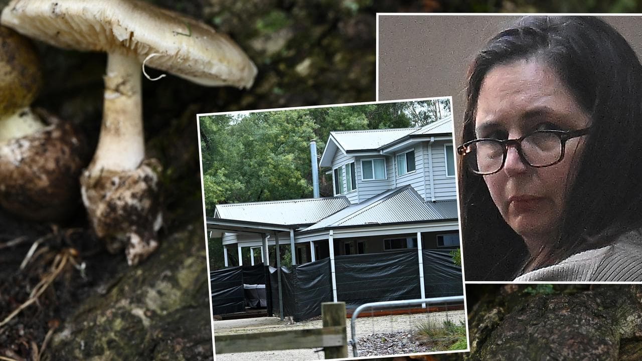 Jury accommodation 'catastrophic' to mushroom trial