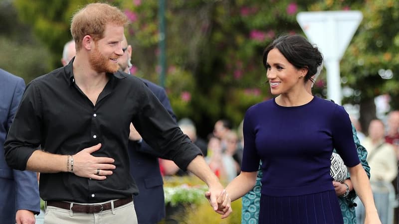 Prince Harry, Meghan to move back to Britain: reports