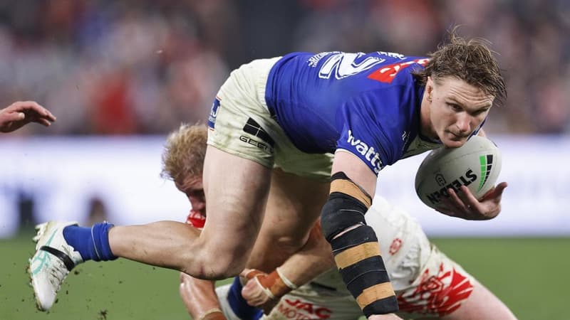 Dogs of War: Bulldogs' horror week ahead of vital win
