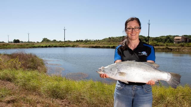 Big barra farm helps First Nations producers net income