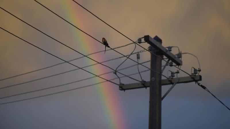 Call to cut energy bill premium to ease cost of living