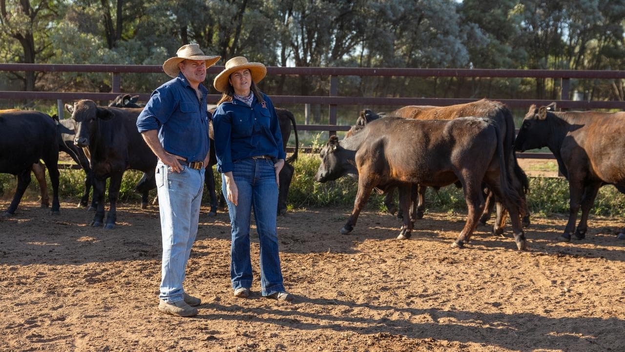 Family offers big reward to help lasso cattle rustlers