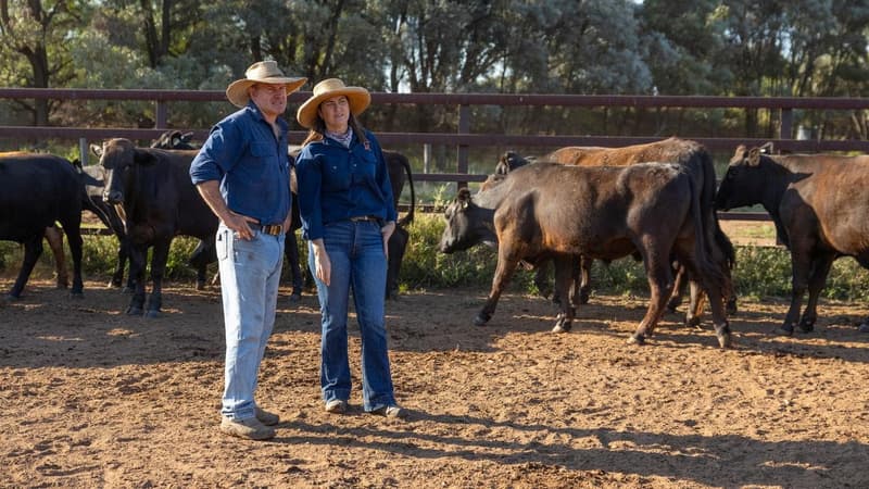 Family offers big reward to help lasso cattle rustlers