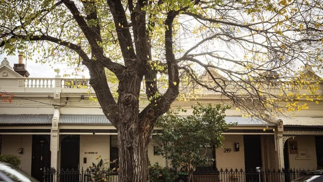 Home ownership for younger people at generational lows