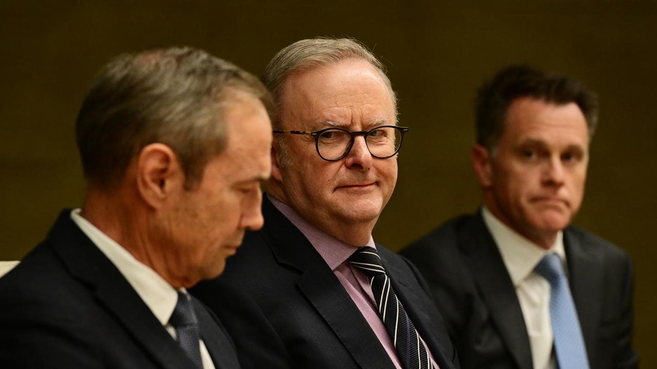 'We have buy-in': PM talks up national unity over AI