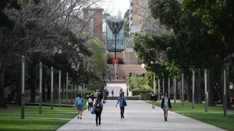 Universities best placed to handle the AI challenge