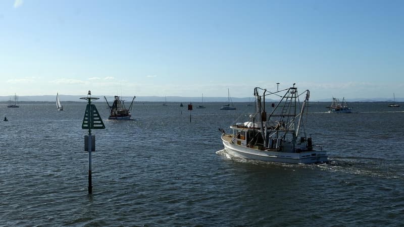 'One ocean': Australia exporting seafood impact
