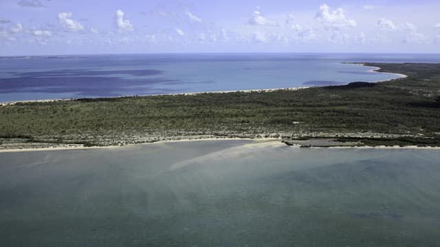 Police believe sea crash pilot did not survive