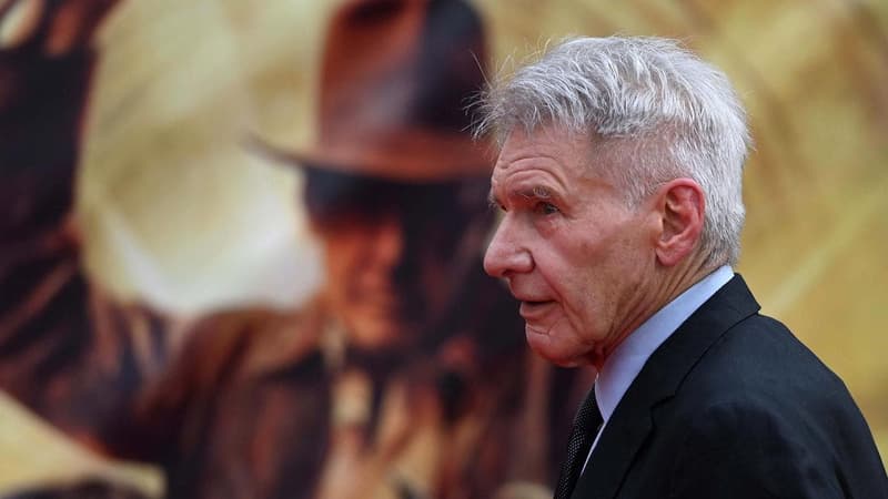 Small-time author argues Indiana Jones stole her plot