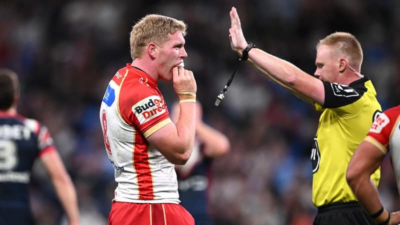 Dolphins' relief as stars dodge bans before finals