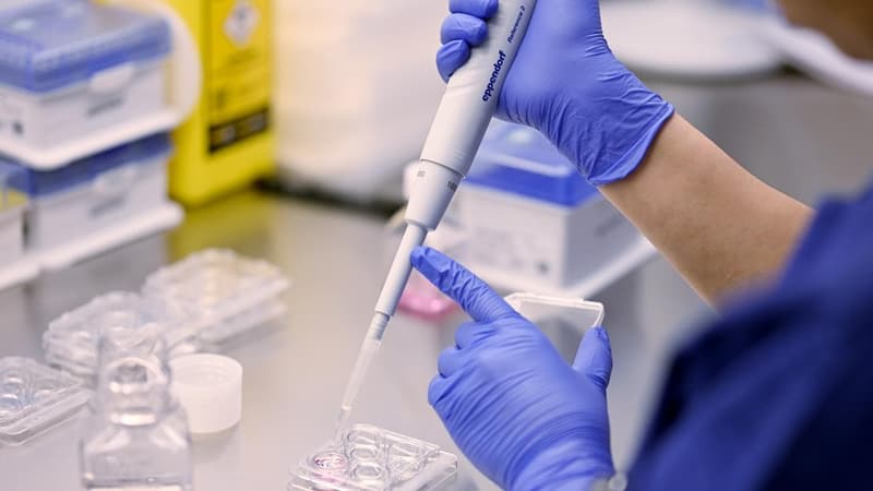 IVF provider's profit falls, sees a dip in new cycles