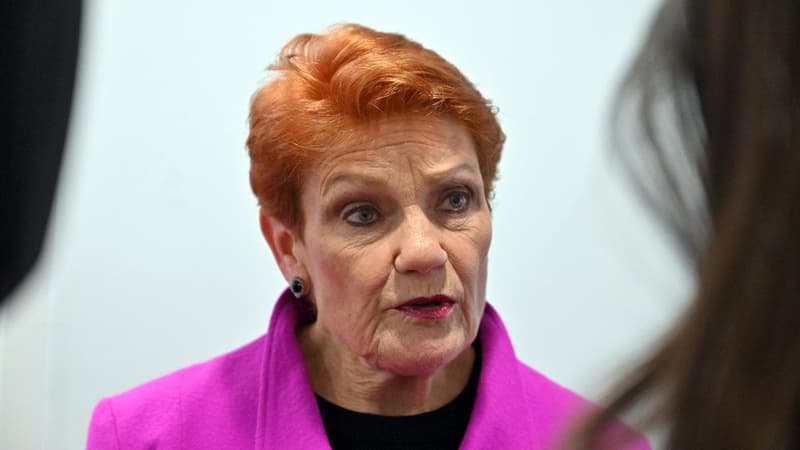 Disinformation accounts concoct fake Hanson-Albanese TV debate