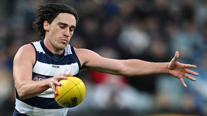 Cats star demands concussion answers for teammate
