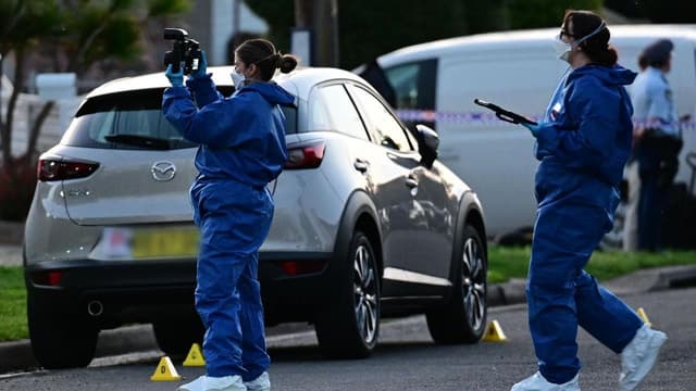 Guns-for-hire, Interpol alerts in state leader's sights