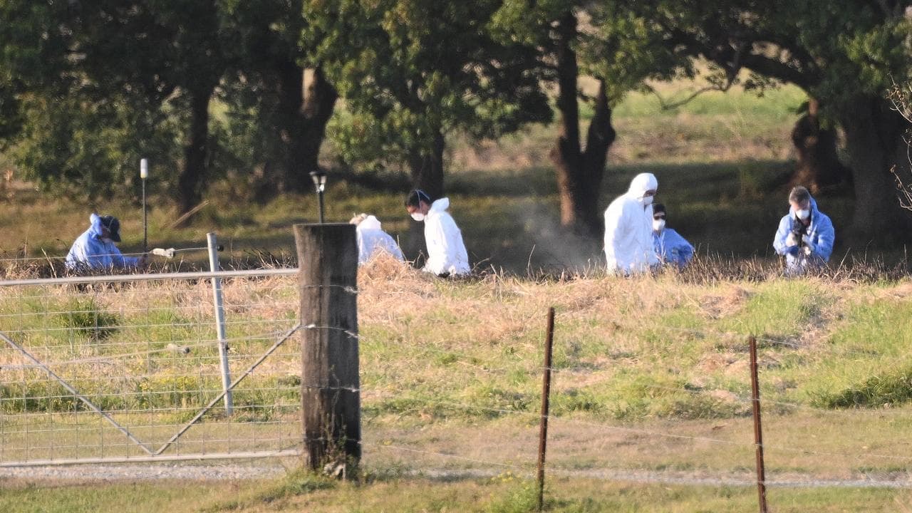Man and woman dead after plane crashes, sparks fire