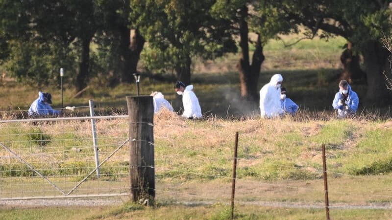Man and woman dead after plane crashes, sparks fire