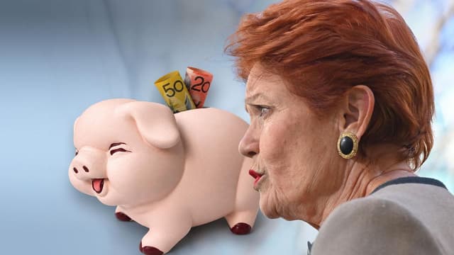 One Nation rejects need to model proposed super changes