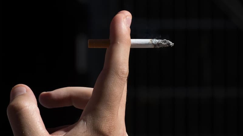 Gang violence fuels calls for action on cigarette tax