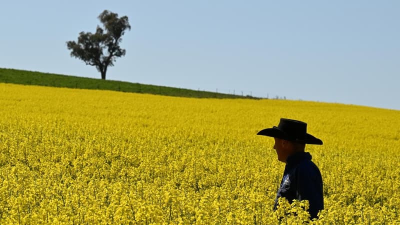 Farmers demand fair go in fight with fossil fuel giants