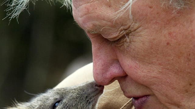 David Attenborough laments ‘terrible plight’ of planet