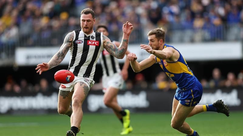 Experienced forward signs on with Collingwood