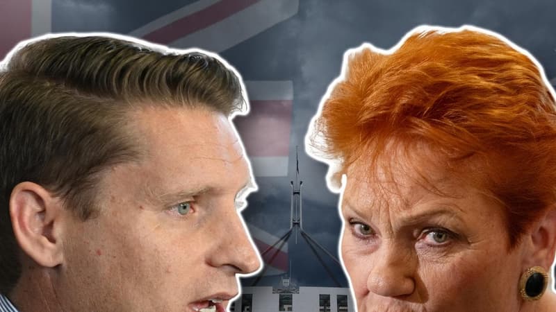 'Despicable': parties unite against One Nation attack