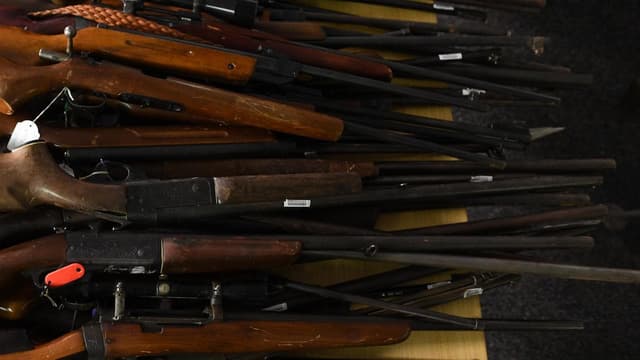 Police-backed gun cap rejected in parliamentary vote