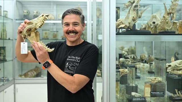 Science on verge of catching a tiger by the gene trail